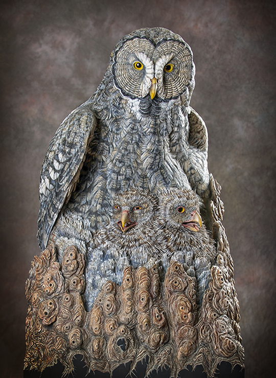 Nesting Owls